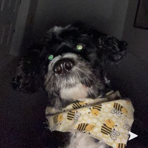 Meet your Posher, Jayson